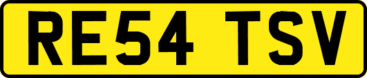 RE54TSV