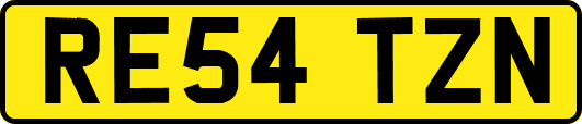 RE54TZN