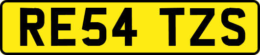 RE54TZS
