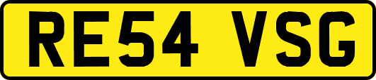 RE54VSG