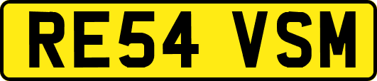 RE54VSM