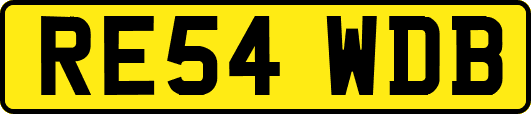 RE54WDB