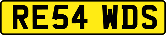 RE54WDS