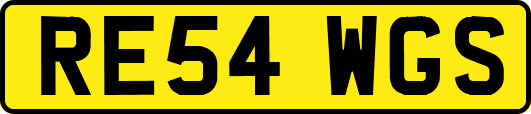 RE54WGS