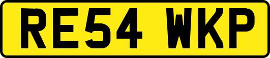 RE54WKP
