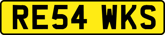RE54WKS