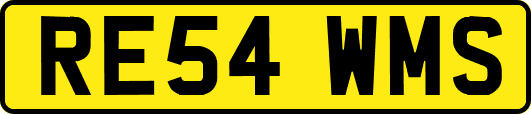 RE54WMS