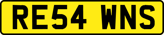 RE54WNS