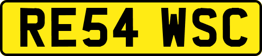 RE54WSC
