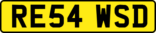 RE54WSD