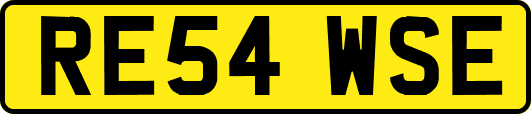 RE54WSE