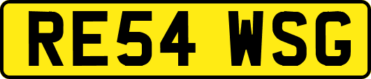 RE54WSG