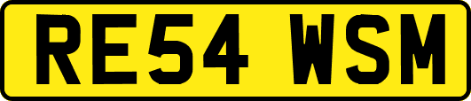 RE54WSM