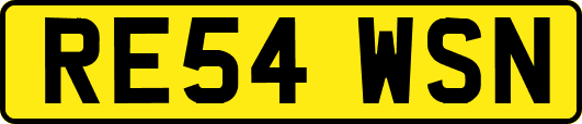 RE54WSN