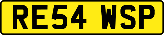RE54WSP