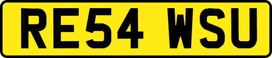 RE54WSU