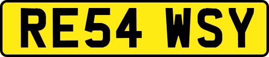 RE54WSY