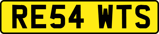 RE54WTS