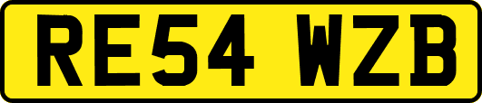 RE54WZB