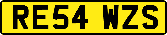 RE54WZS