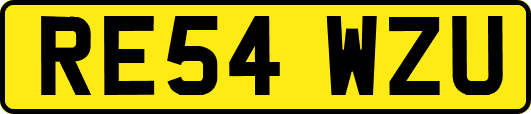 RE54WZU