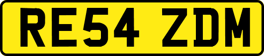 RE54ZDM