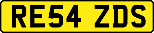 RE54ZDS