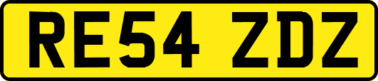 RE54ZDZ