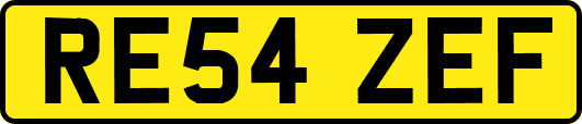 RE54ZEF