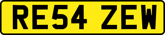 RE54ZEW