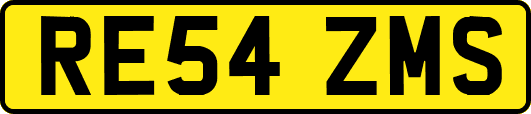 RE54ZMS