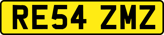 RE54ZMZ