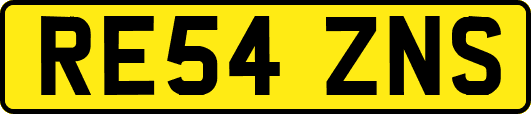 RE54ZNS