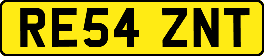 RE54ZNT
