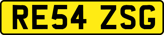 RE54ZSG