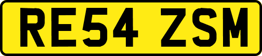 RE54ZSM