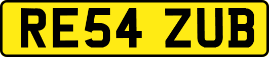 RE54ZUB