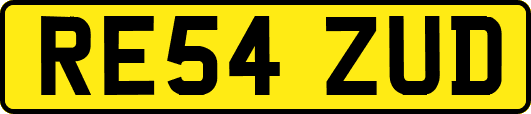 RE54ZUD