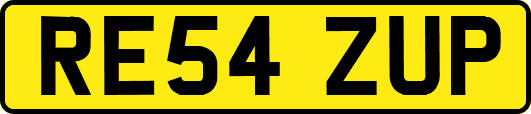 RE54ZUP