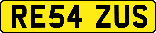 RE54ZUS