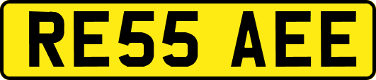 RE55AEE