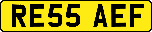 RE55AEF