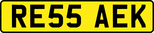 RE55AEK