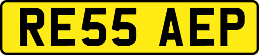 RE55AEP