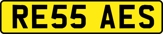 RE55AES