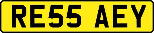 RE55AEY