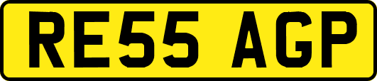 RE55AGP