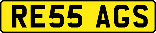 RE55AGS
