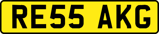 RE55AKG