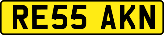RE55AKN